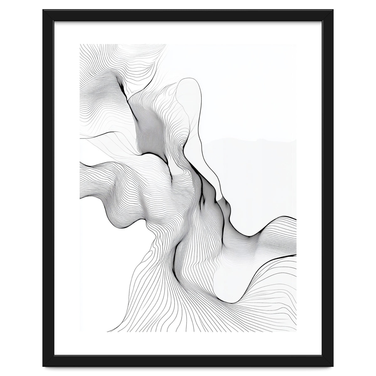 Abstract Black And White Flowing Lines