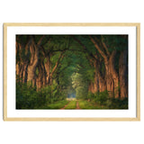 Soft morning light thumbnail