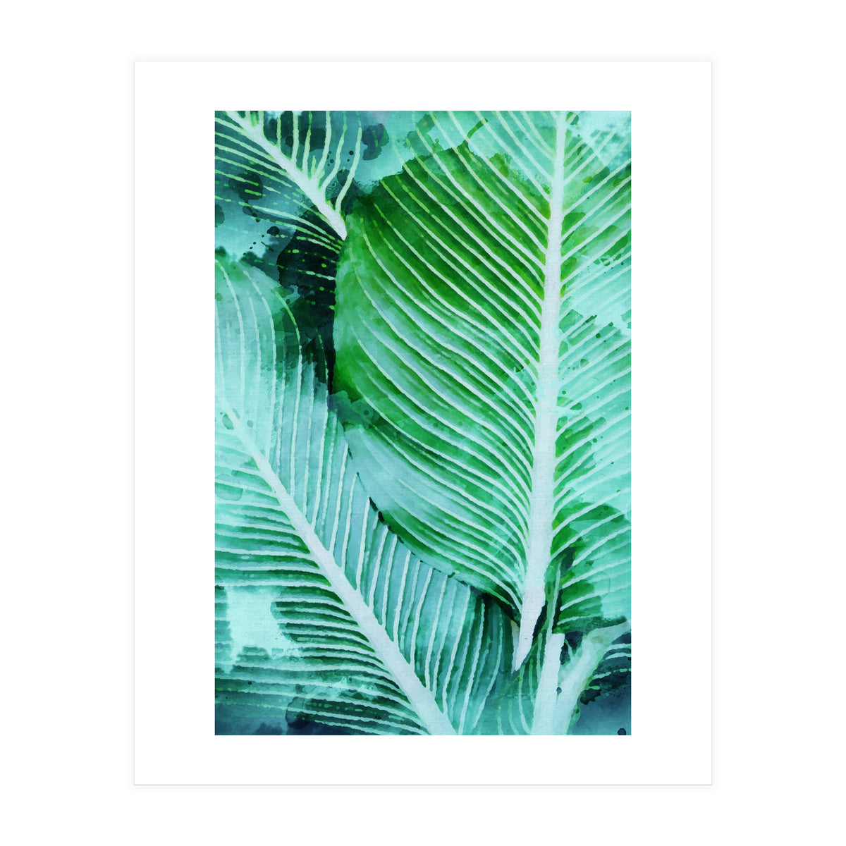 Rearranged Beauty (Print Only)