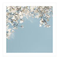 Symphony Blues (Print Only)