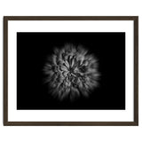 Backyard Flowers In Black And White No 48 Flow Version thumbnail