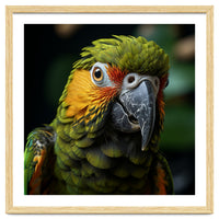 Close Up Of A Colorful Macaw Parrot Face