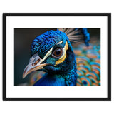 Close Up Of A Peacock Head And Eye thumbnail