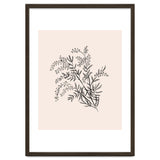 Acacia Botanical illustration thumbnail