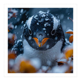 Close Up Of A Gentoo Penguin In The Snow (Print Only) thumbnail