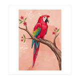 Red Macaw Parrot Bird Forest (Print Only) thumbnail