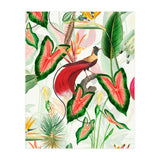 Vintage Bird Of Paradise in Jungle (Print Only) thumbnail