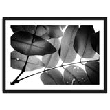 Branches and Leaves, 2016, 3 thumbnail