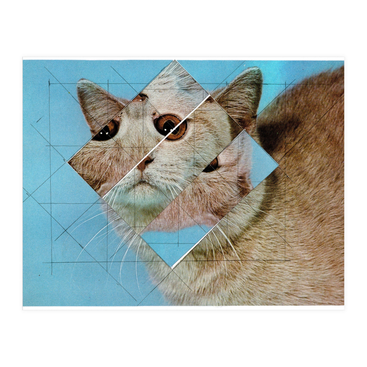 The Depressive Cat Am Abend Bekommt Den Blues (Print Only)