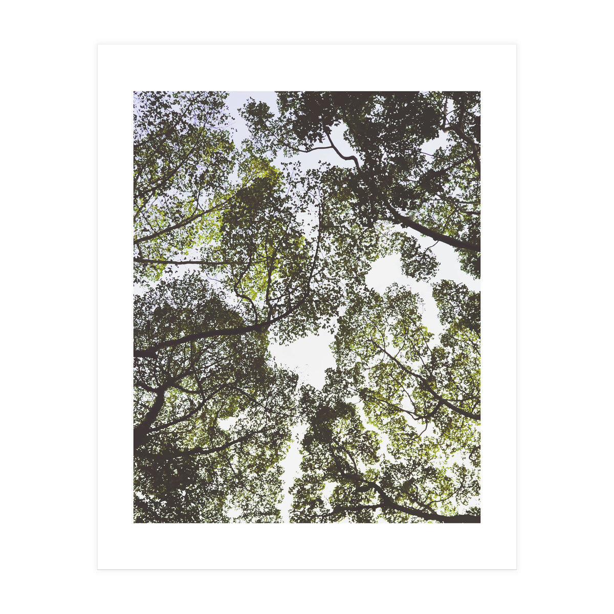 Mother Nature (Print Only)