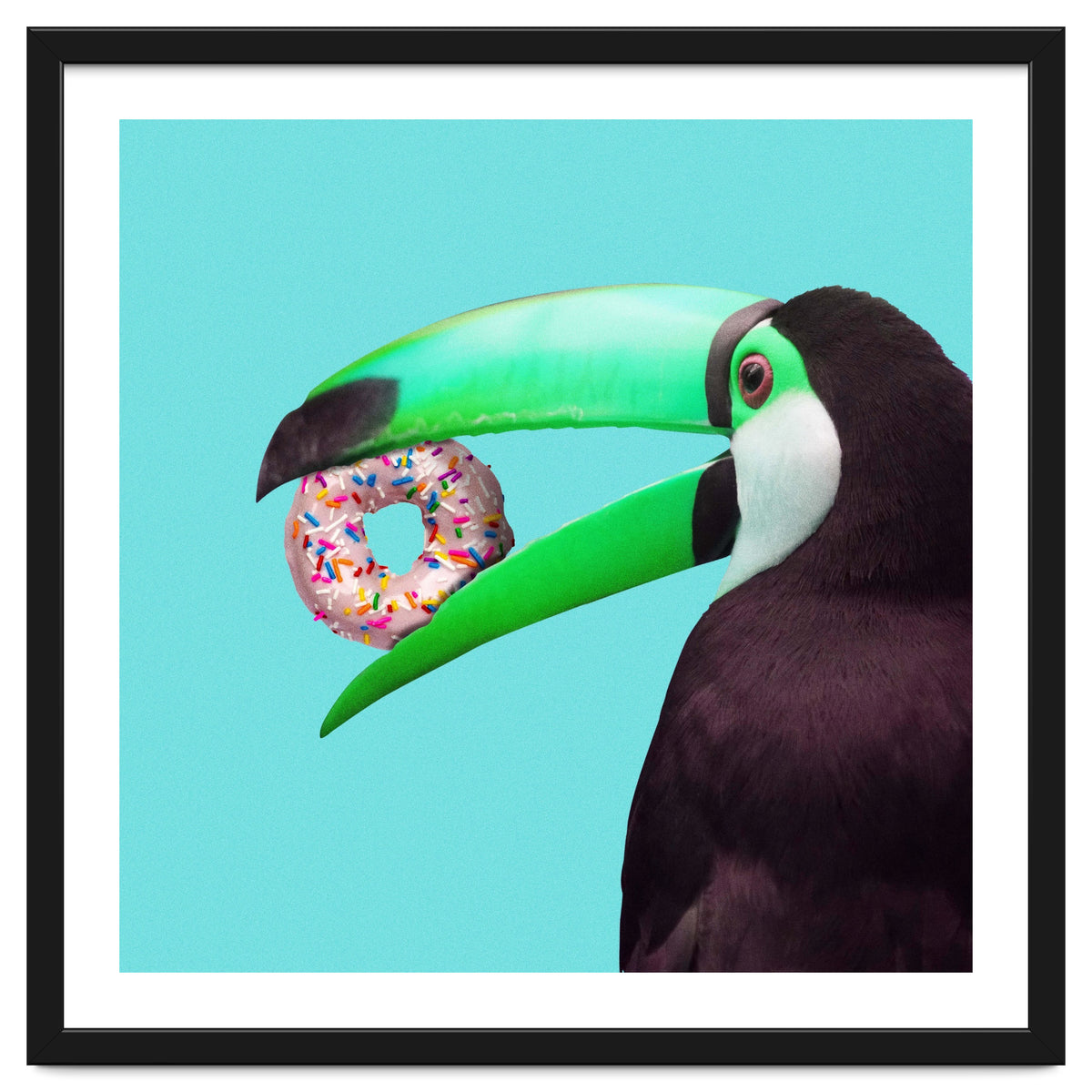 Sweet Toucan