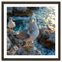 Seagull Standing On Rocks Near Water