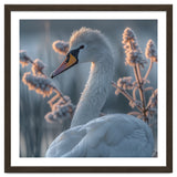 Swan Portrait Dew Drops Morning Light thumbnail