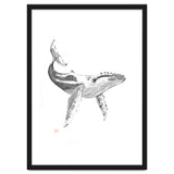 Whale thumbnail