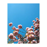 Pink Summer (Print Only) thumbnail