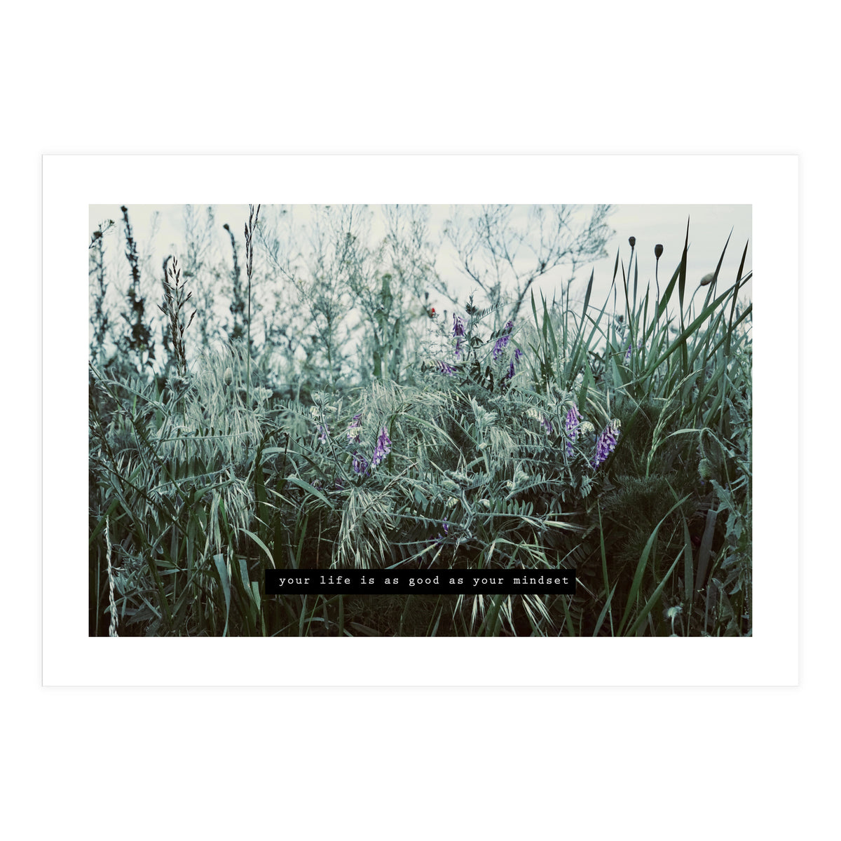 Photography - Summer Garden (Print Only)