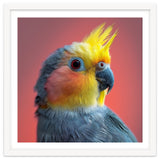 Cockatiel Parrot Head Close Up Portrait thumbnail
