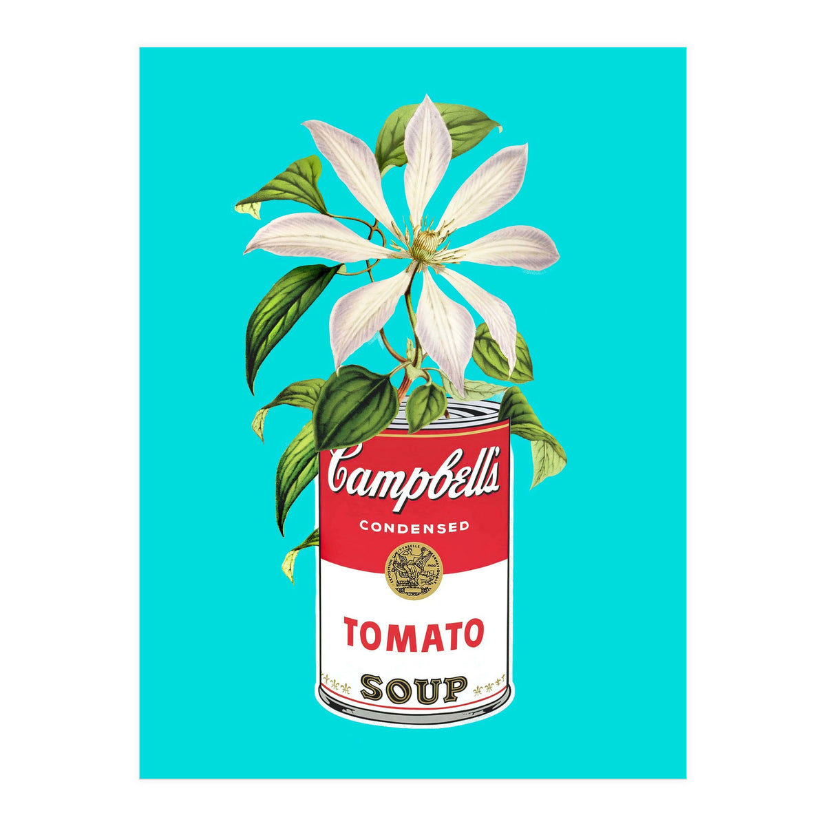 Floral Campbells (Print Only)