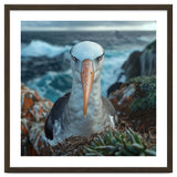 Black Browed Albatross Perched On Nest Near Ocean thumbnail