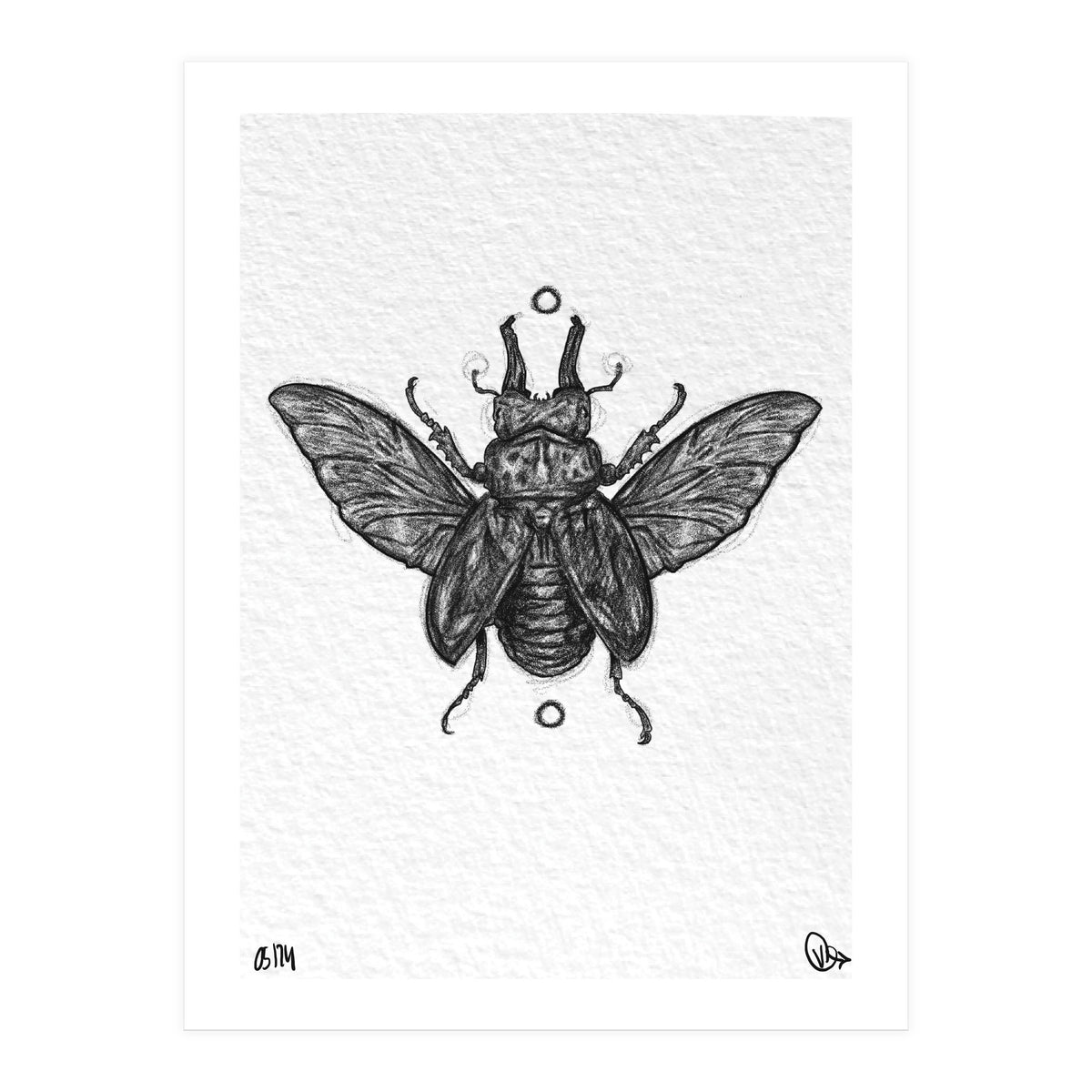 Hirschkäfer  (Print Only)