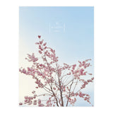 Sakura - cherry blossom (Print Only) thumbnail