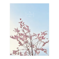 Sakura - cherry blossom (Print Only)
