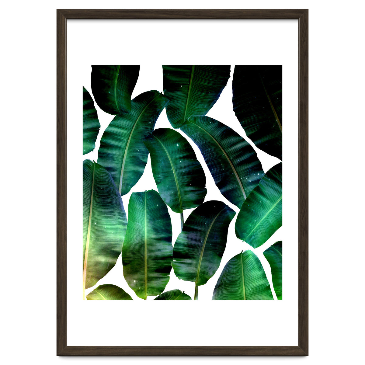 Cosmic Banana Leaves