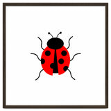 Lady Bug thumbnail