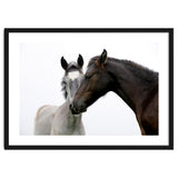 Two Horses thumbnail