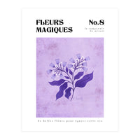 Magical Flowers No.8 Midnight Bellflowers (Print Only)