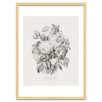 Currier & Ives – Rose of May (1870)