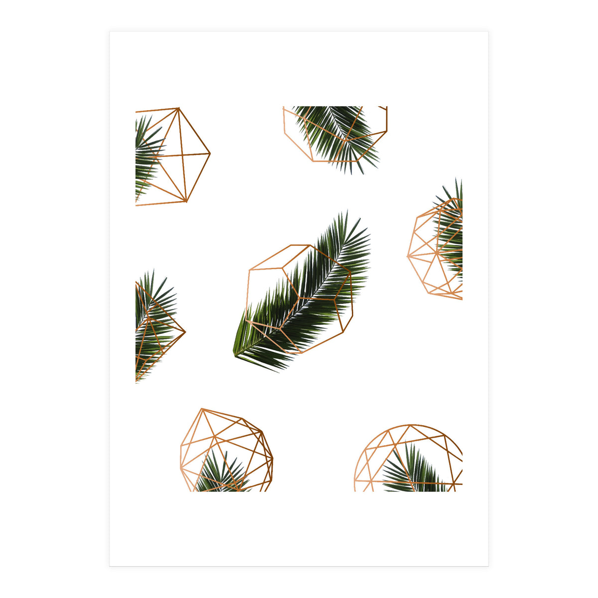 Palm  Geometry V2 (Print Only)