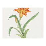 Hime Kuwanso – March (c. 1870–1880) (Print Only) thumbnail