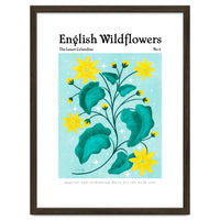 English Wildflowers | Lesser Celandine