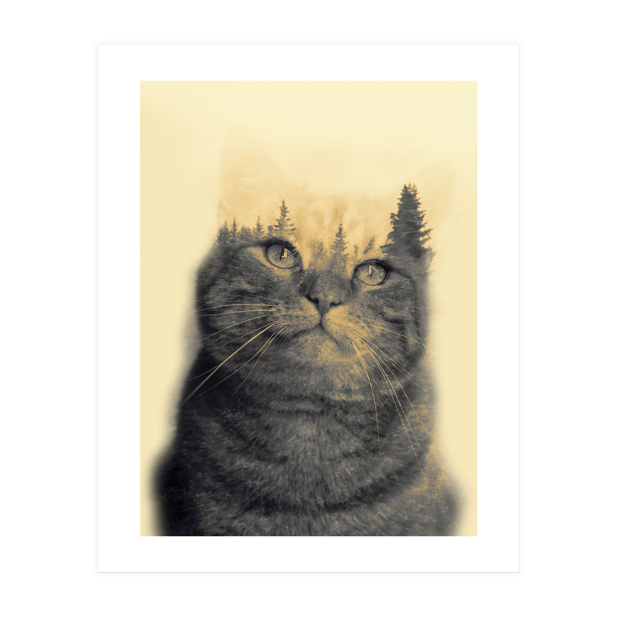 Cat double exposure (Print Only)