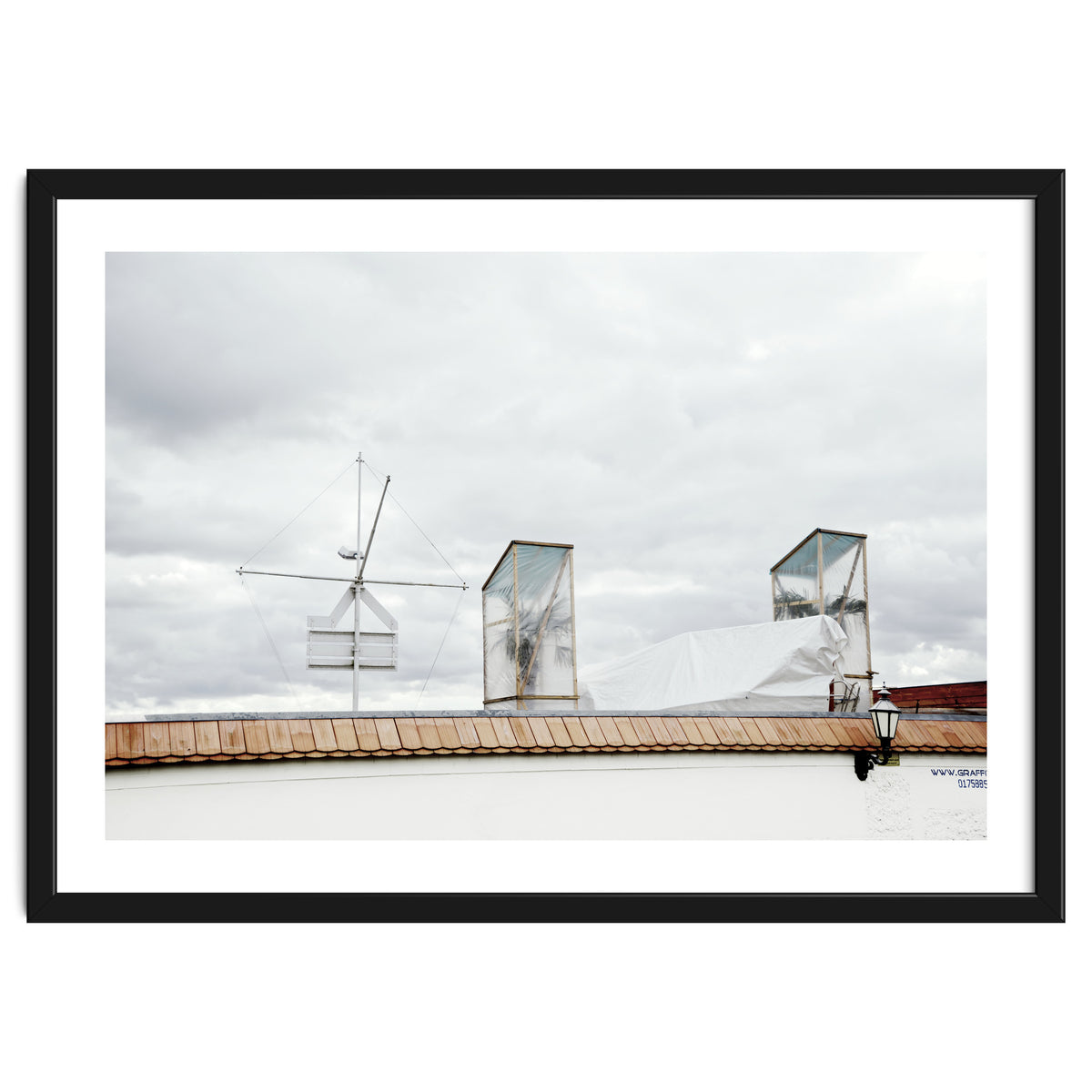 Palm tree waiting for summer