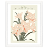 Flower Market Cap Town Amaryllis thumbnail