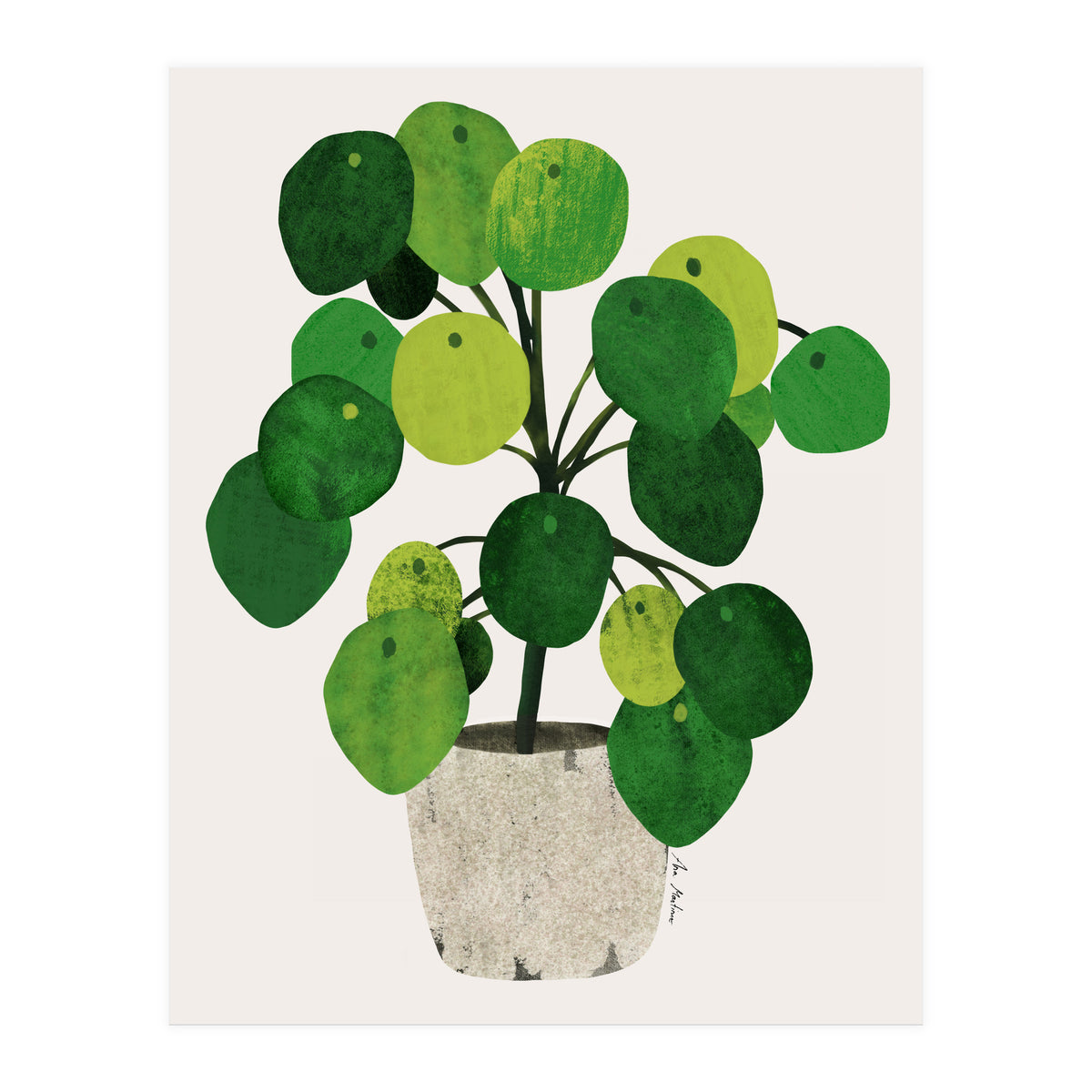 Pilea Plant (Print Only)