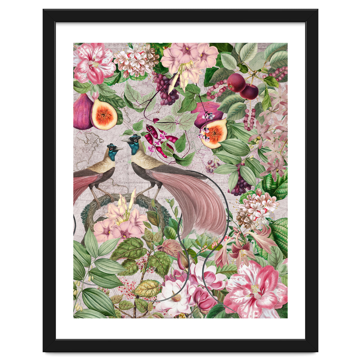 Vintage Birds Of Paradise Jungle