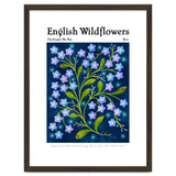 English Wildflowers | Forget-Me-Not thumbnail