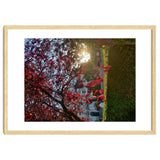 Autumn’s Embrace thumbnail