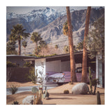 Palm Springs Pink II (Print Only) thumbnail