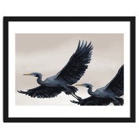 Migrating Herons