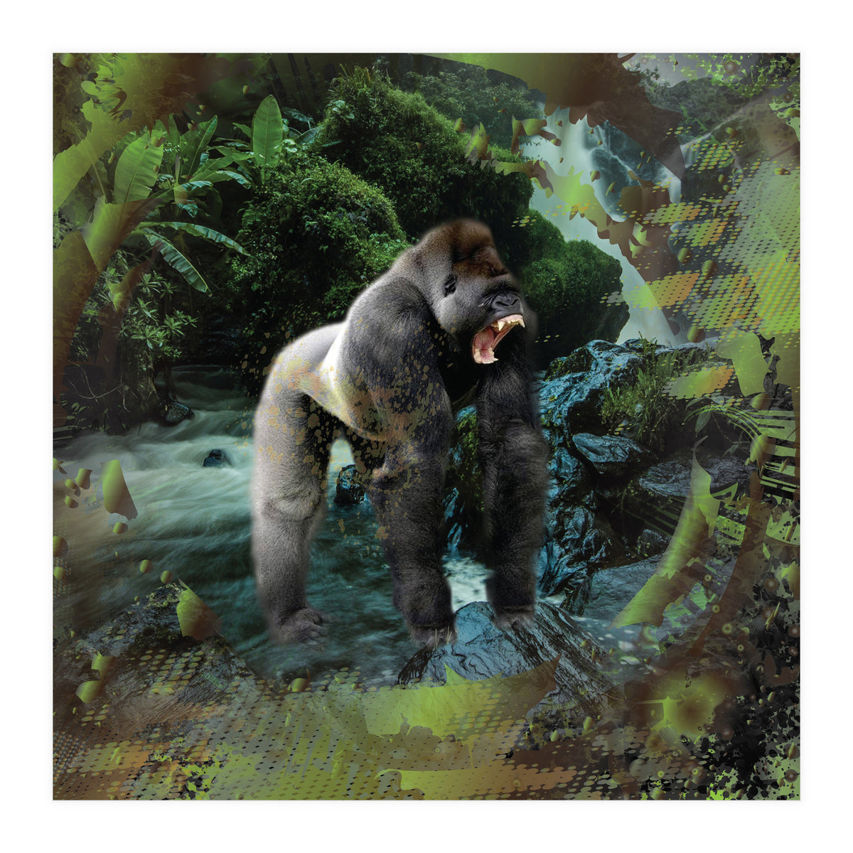 Gorilla  (Print Only)