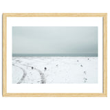 Seagulls in the winter snow beach thumbnail