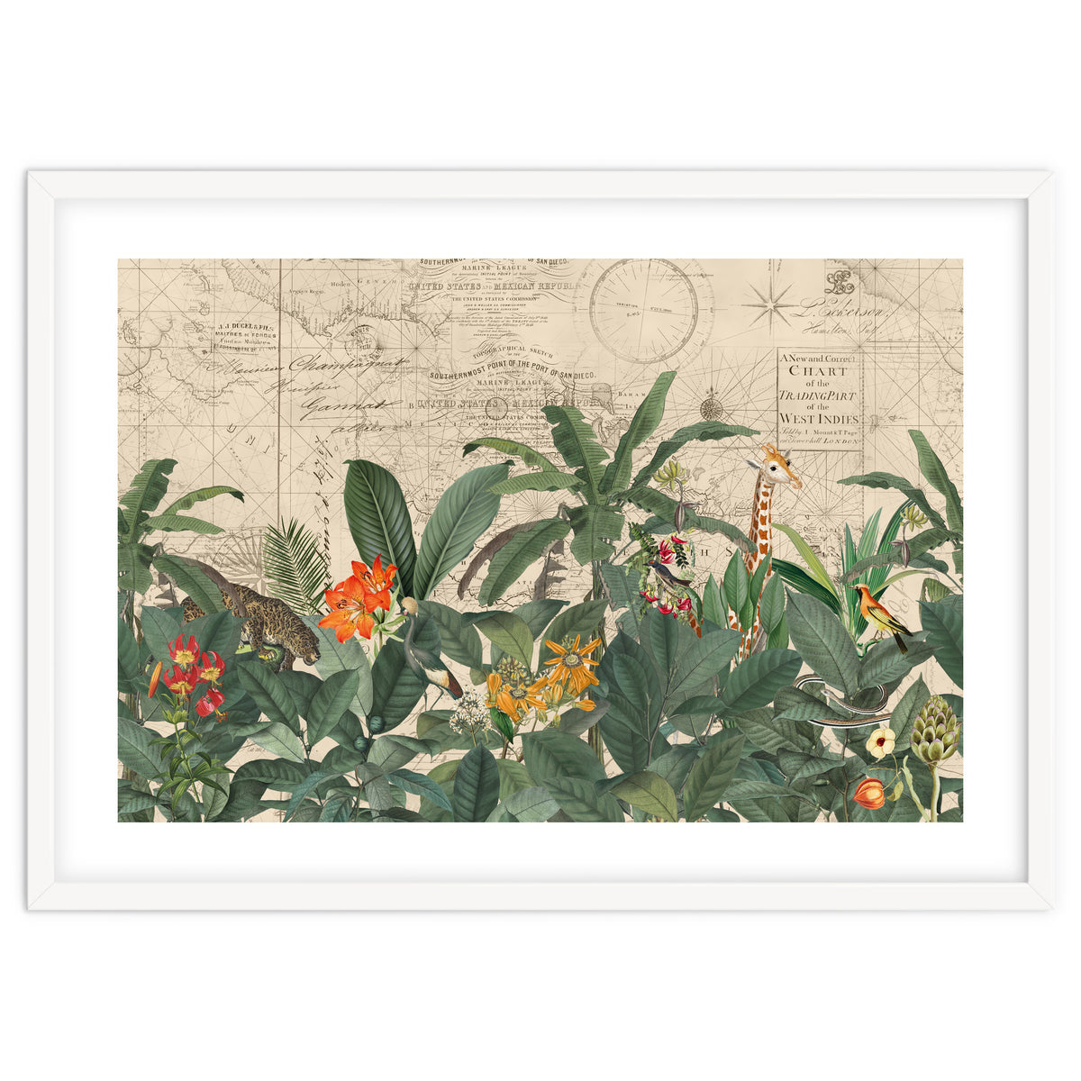 Explore The New World Wild Animals