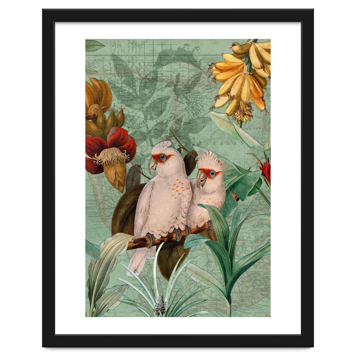 Green Cockatoo Exotic Bird Jungle