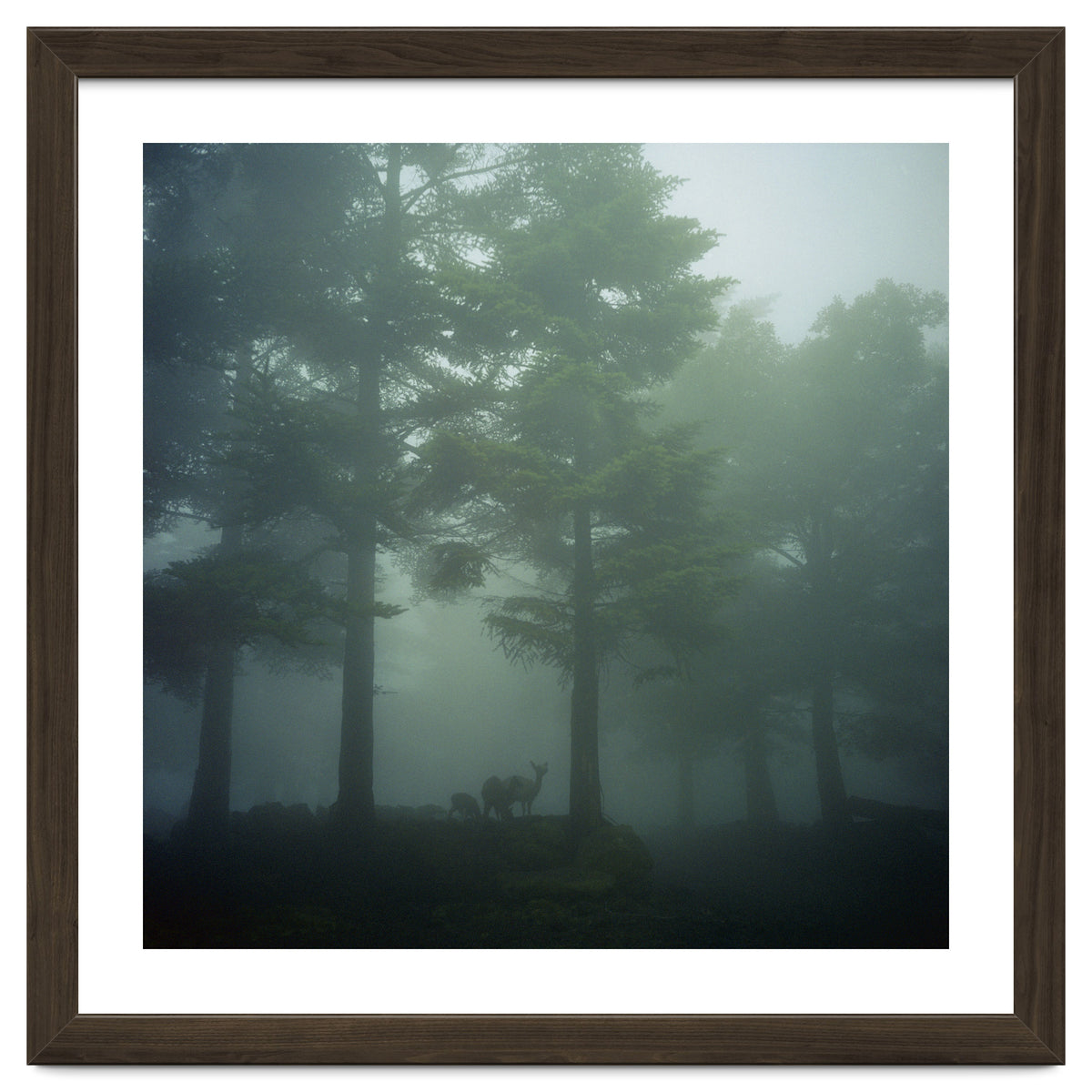 Silence of breath - 10