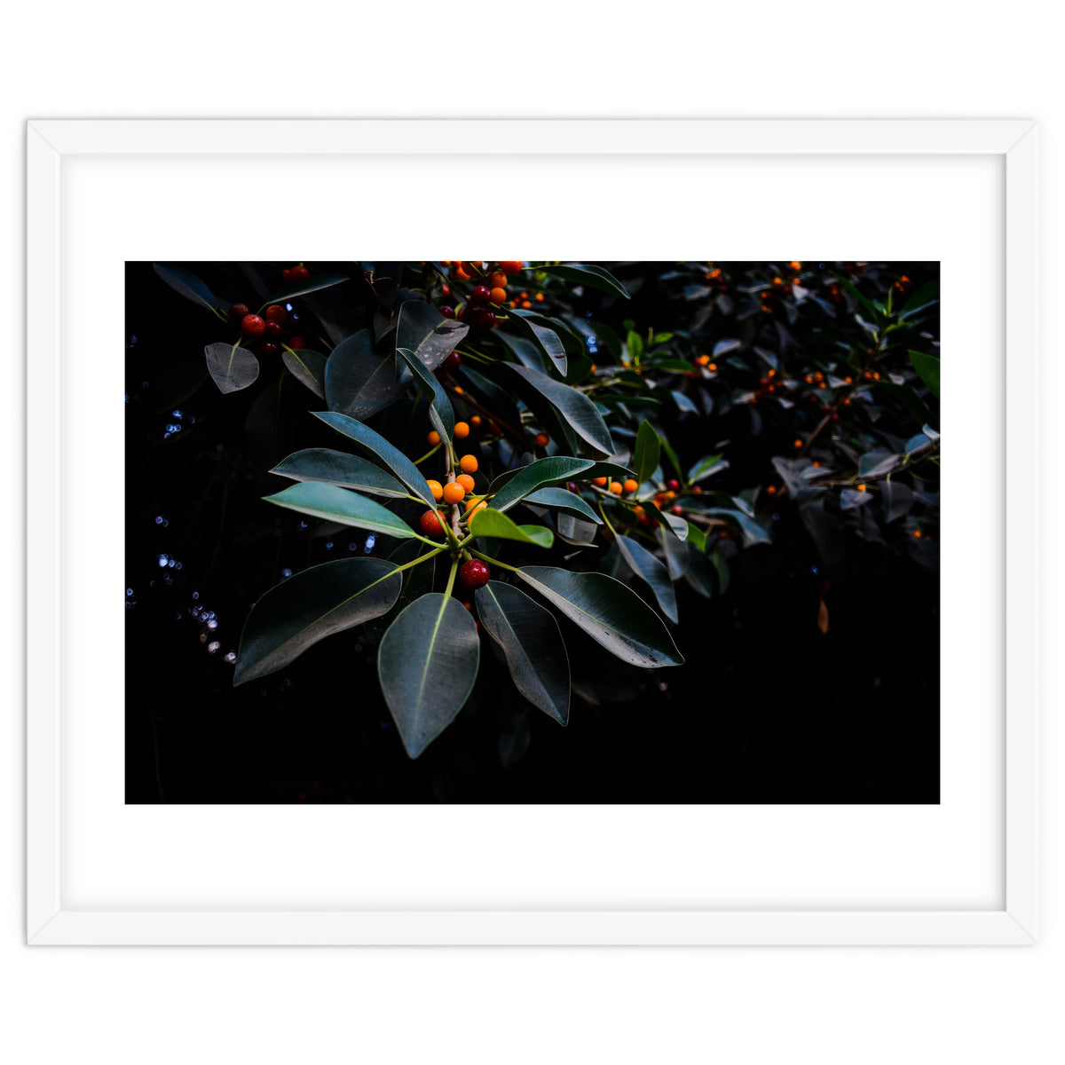 Orange, Green and Dark