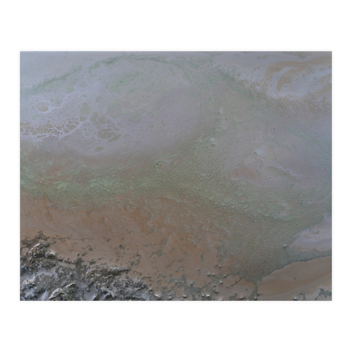 Illuminated (Print Only)